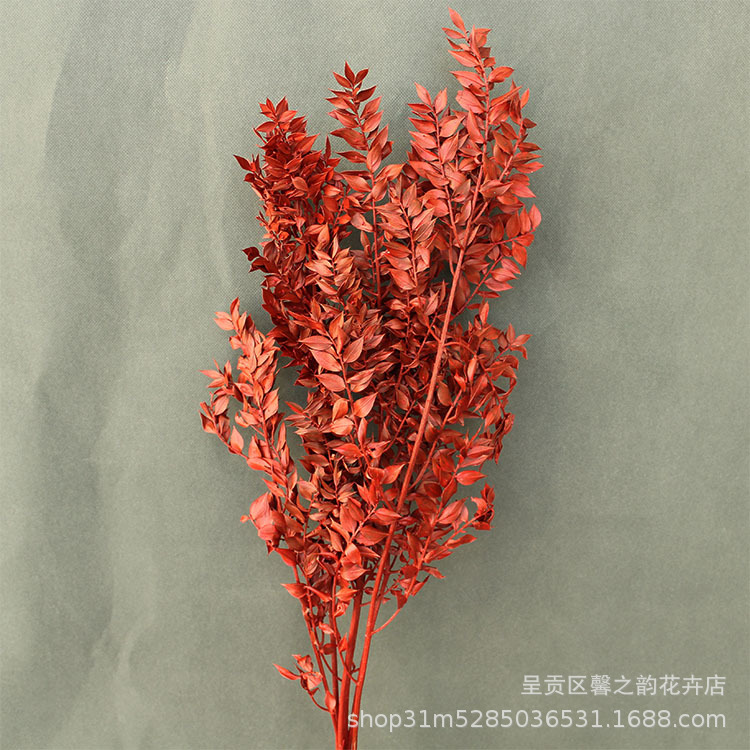 【약 55g】진한 빨간색