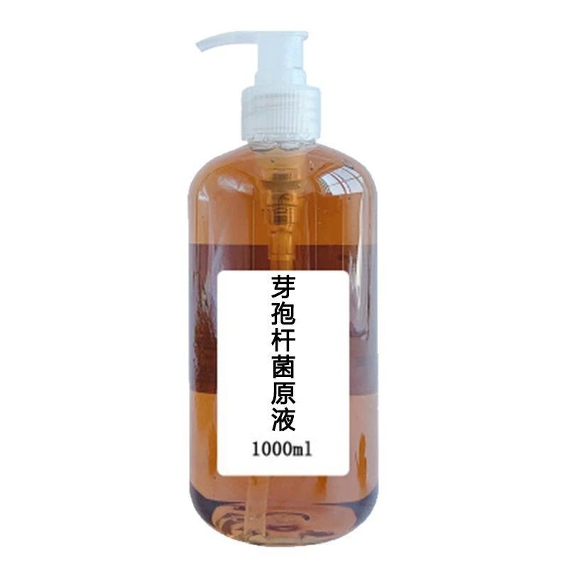涂抹式芽孢杆菌原液提拉紧致面部修护断纹液淡化细纹抬头纹精华液|undefined