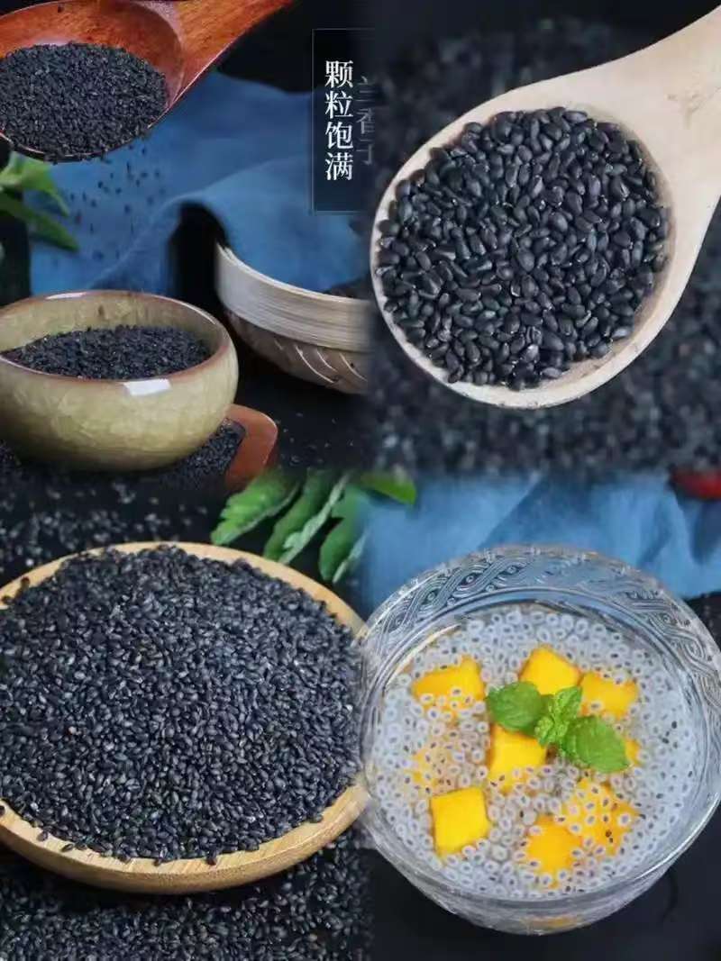 Lan Xiang Zi (Ocimum basilicum Seeds) — Taiwanese Basil Seeds for Herbal Tea & Satiety specifications
