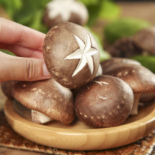 ����լ���ҿ��ۡ��㹽 �s150g/��*3��