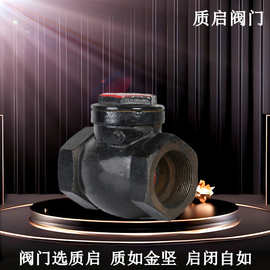 H14T铸铁内螺纹止回阀 泉州质启丝扣卧式止回阀 水管道单向阀DN15