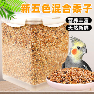 �W�^�B�Z��Ϲ���ĵ����Ƥ���P�Zʳ���B���錣�Î�����ɫ�����S��