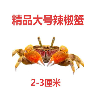 ��̖��������з���w����С�з�^�pз��ˮ��ˮ�~�׳���S���坍��