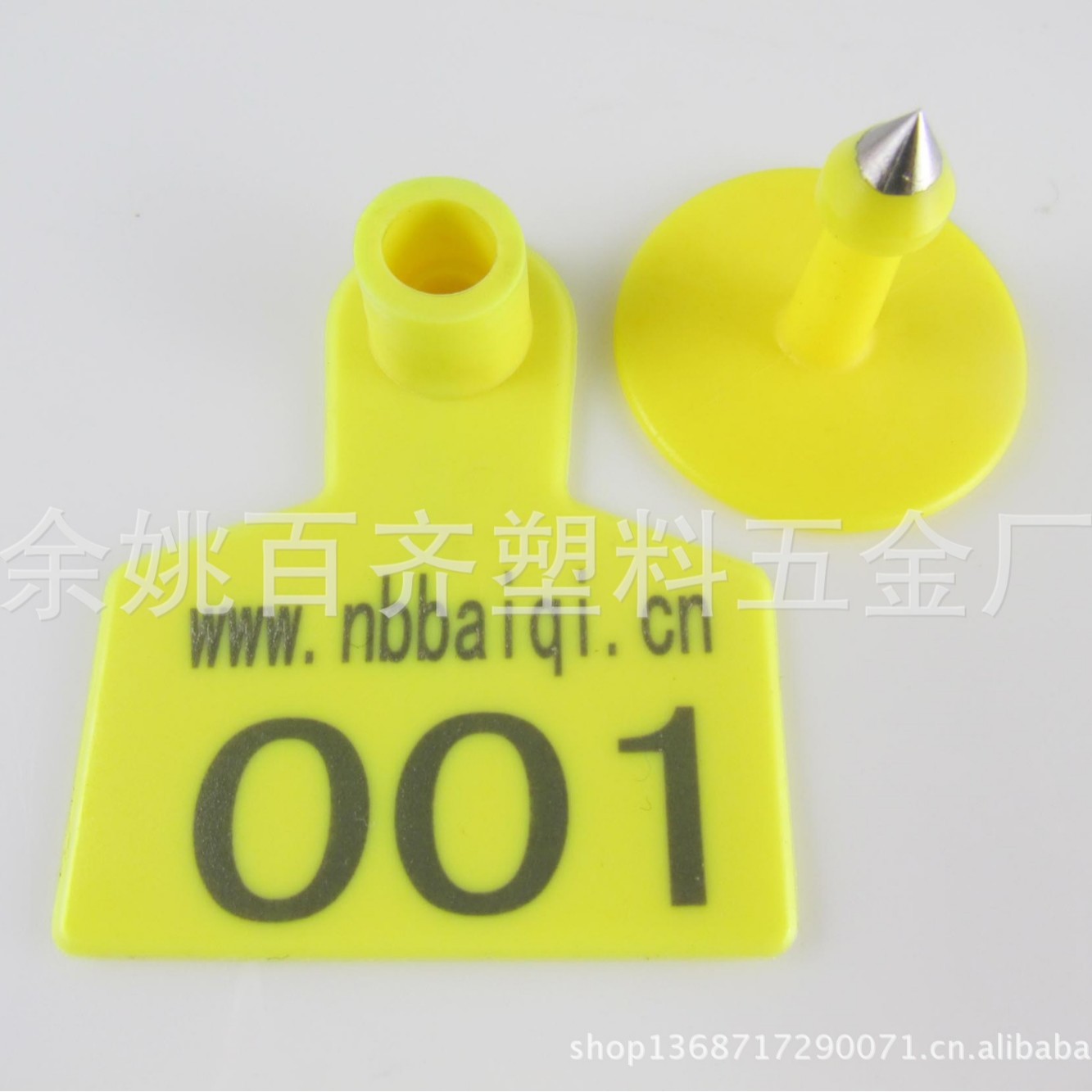 猪耳标，猪耳牌，猪耳号，尺寸50*42mm多色可选