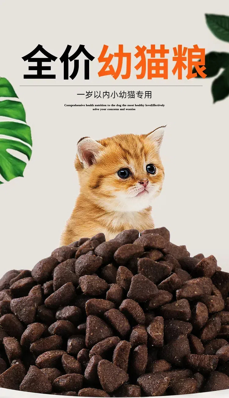 30幼猫粮 (13)