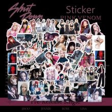 Black��ī�N��BORN PINK���~�N��ROSE JISOO��������93���֎�