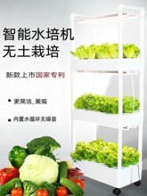 ��ͥ�҃��̨���w�o������ˮ���߲��O��Nֲ��N��ˮ���Nֲ�C