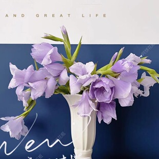 Lenox�մɻ�ƿ25cm��ˮ���ļ��ɻ�õ���Џ͹��r����ƿ������[D&