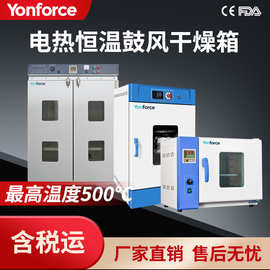 电热恒温鼓风干燥箱工业鼓风干燥箱实验室立式卧式 鼓风干燥箱