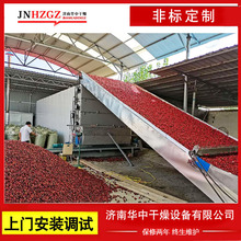 连续式热风循环干燥机多层网带式陈皮天麻流水线隧道式药材烘干机