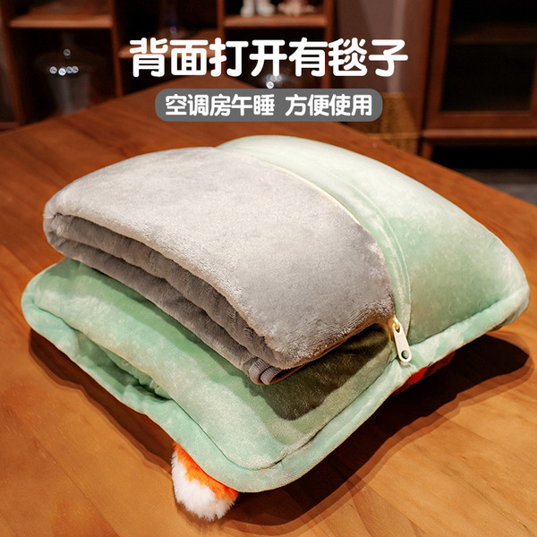 Cartoon pillow