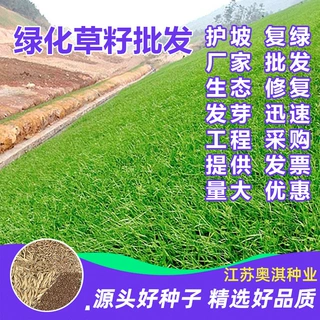 麦冬草种子日本玉龙草四季青草籽矮生细叶宽叶金边绿化庭院种籽孑