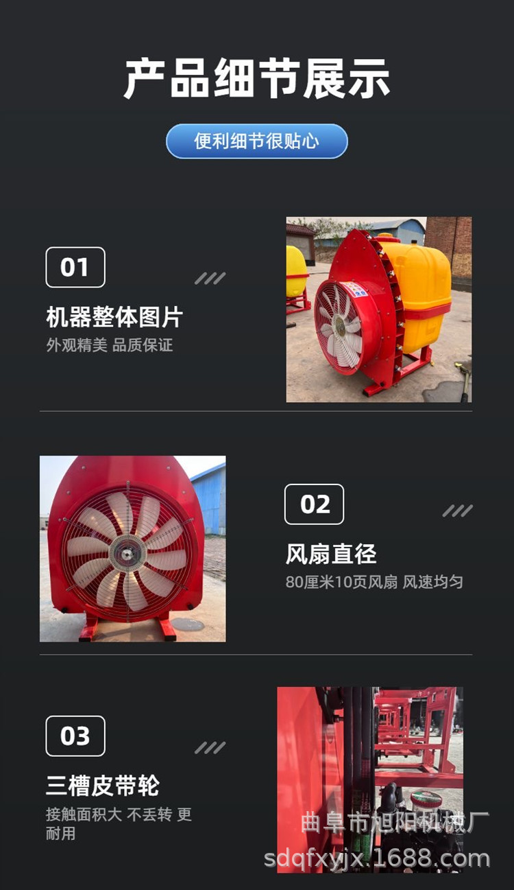 详情 (9).JPG