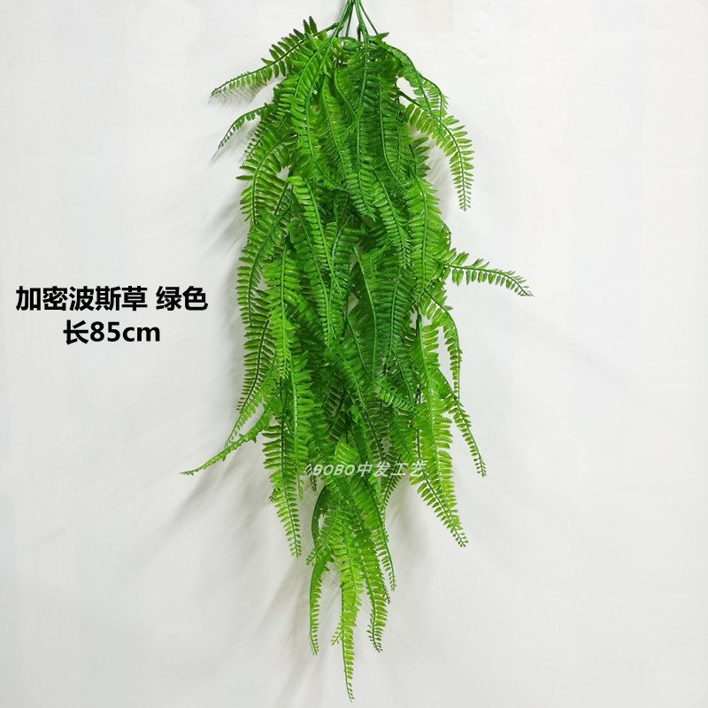 암호화 부드러운 페르시아 잔디 녹색