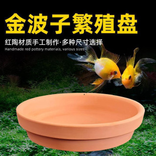 Jinbozi Avatar Dutch Phoenix Map Gem Santa Talen Spawning Clay Reproduction Plate Hatching Opening Feeding Plate