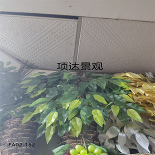 �����Ř��~�����~�t���~�٘��~�Ӽ��~֦����쾰���̈@�־Gֲ�b�