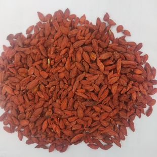 ����� ��ș�����l �a�ع��� ��� ��� �Ќ��a����� ���