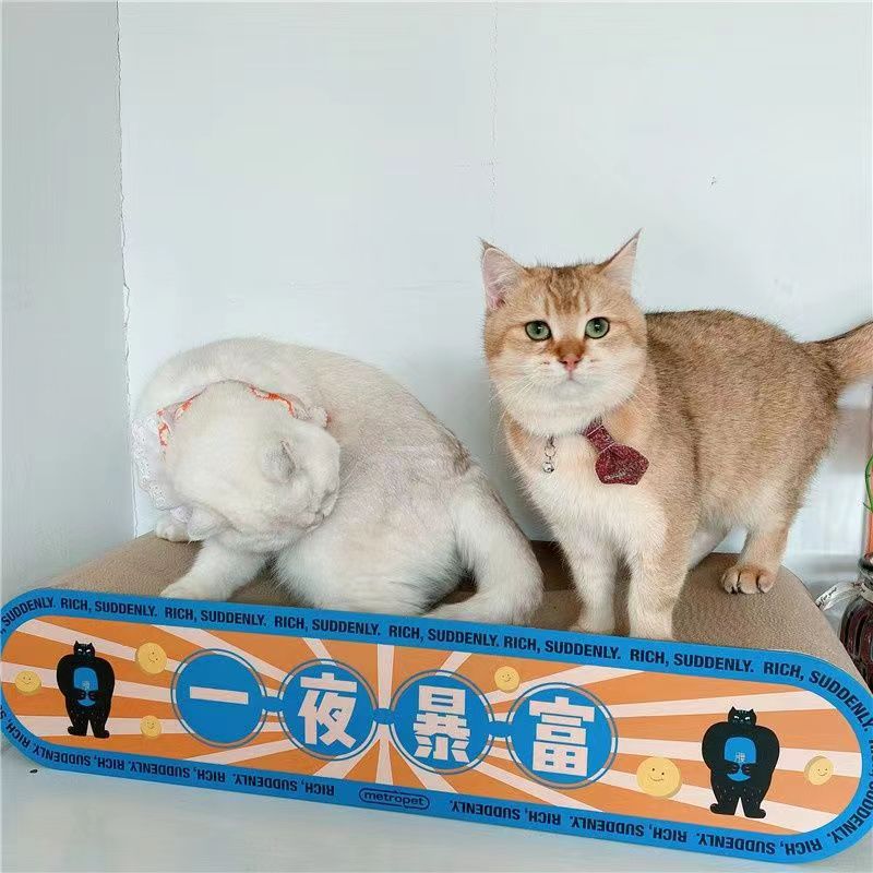【双面可抓】cat超大猫抓板超大号可抓可玩耐用耐磨宠猫玩具