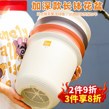 �Ӻ��֬����˼�L��������մ����϶���Gֲ�m������Nֲ��