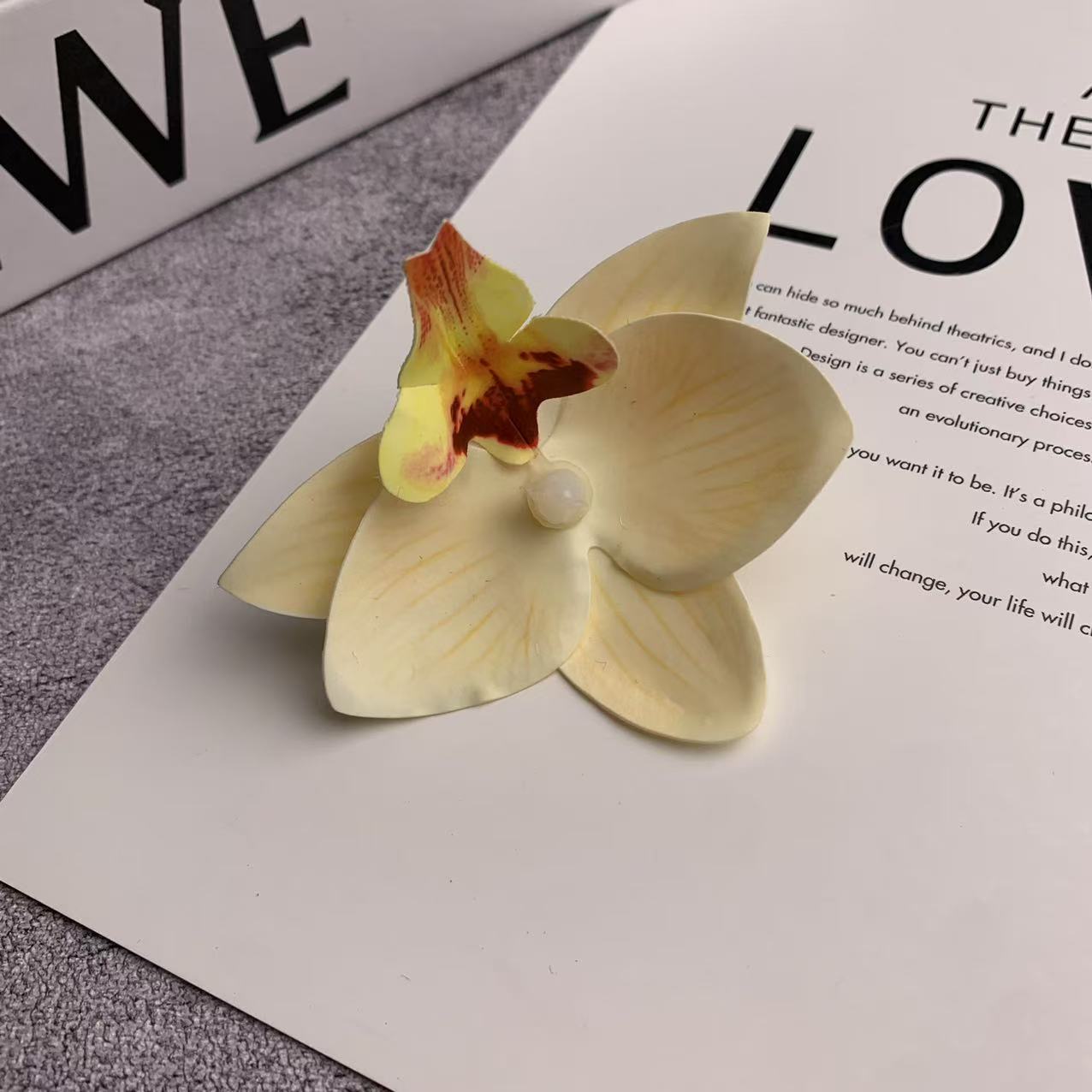 미니 호접란 꽃잎