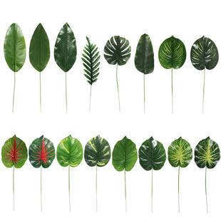 ����ֲ�� ��֧�~�������~�����~���˽������bGֲ�廨�쾰�Ž�