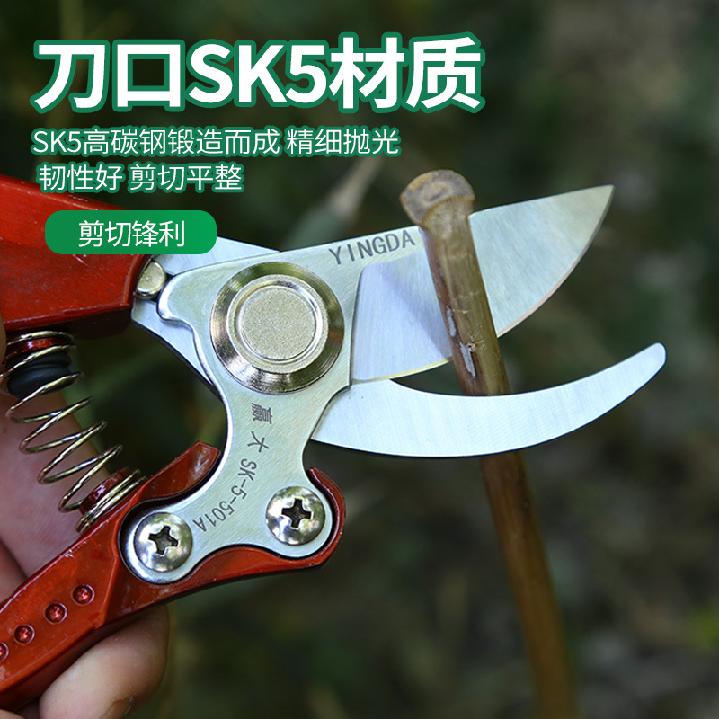 Mango de aleación de aluminio Tijeras de podar de árboles frutales Herramientas de jardín Tijeras de jardinería Tijeras de podar de árboles bonsai Tijeras de podar Ahorro de mano de obra Tijeras de injerto