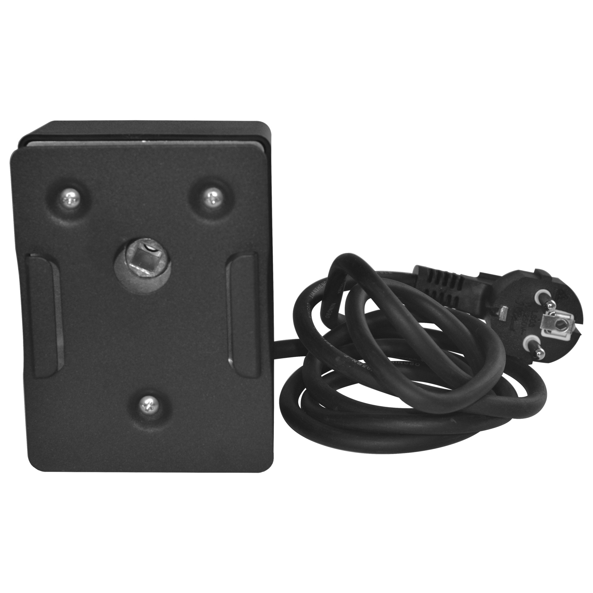 Estándar europeo Barbacoas barbacoa motor giratorio automático ac220v4w velocidad 2,5 ~ 3RPM par de rotación 15kg