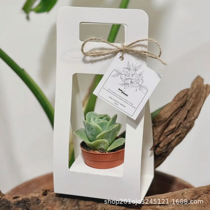 主图详情 (9).jpg