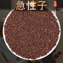 ș500 Pɻ ָ׻ Ʒ؛x ș