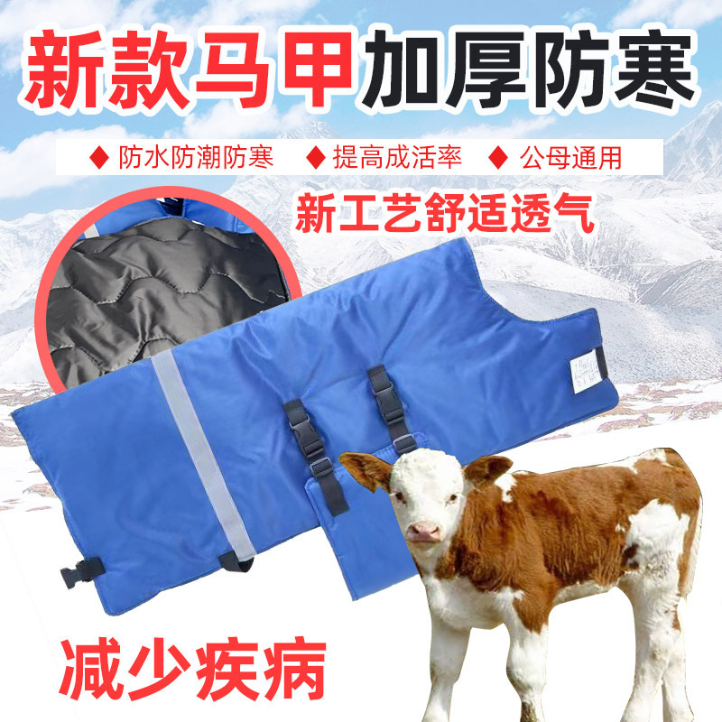 Calf Cold-proof Vest Calf Heat-insulating Clothes Warm Calf Cotton-padded Clothes Cold-proof Clothes for Cows Newborn Calves