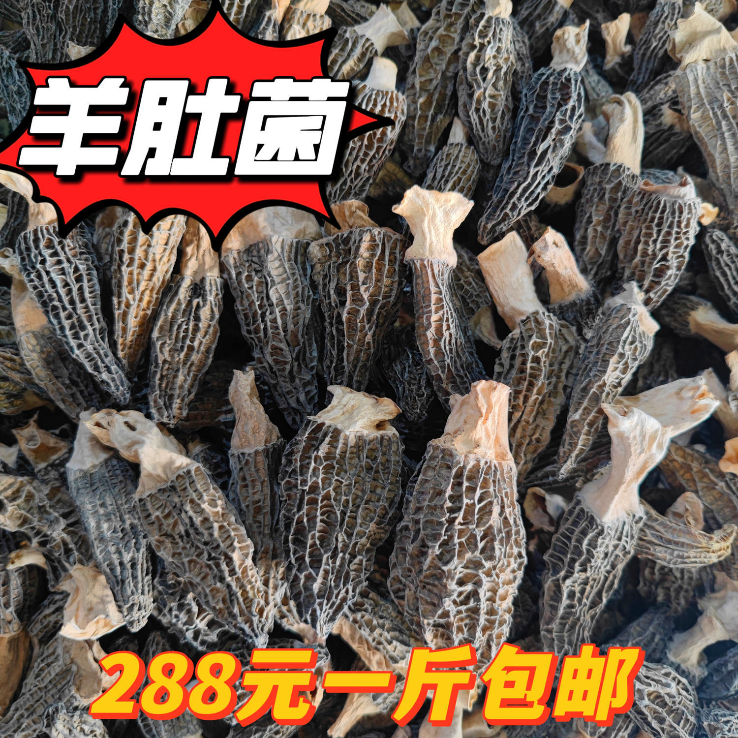 e1fa5bdd2b82bee11b9551f8f24a22