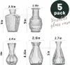 Transparent set, 5 pieces