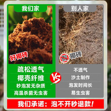 ���ˏS��ֱ�Nֱ�N�I�Bͨ����Ҭ���o�}Ҭ�����B���N�˷NֲҬ�u��