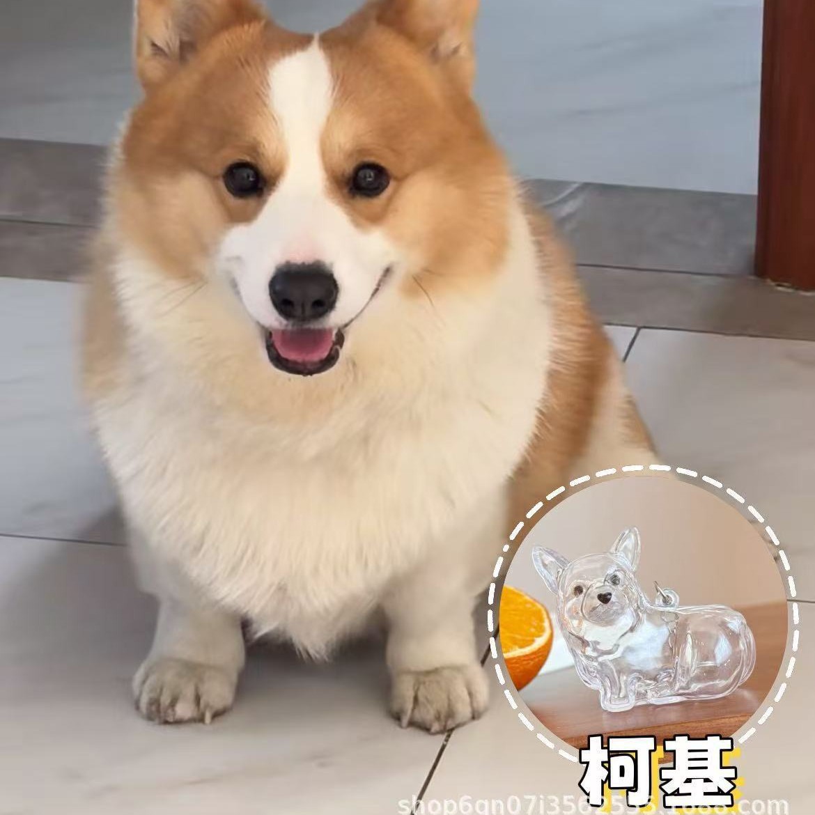 Perlo de mascota conmemorativo llavero colgante lindo perro colección de pelo transparente de perro grande forma de llave creativa