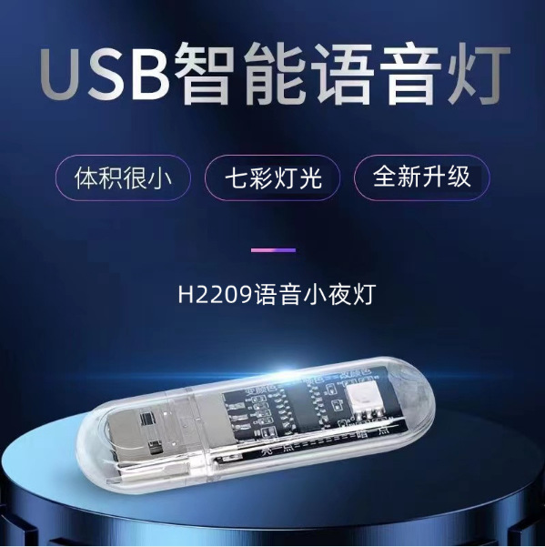 H2209 지능형 음성 빛