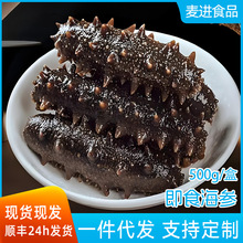 即食海参鲜食批发海参厂家批发鲜活大连海辽参零售海鲜厂家商用家