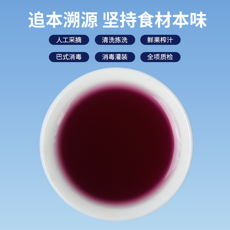 蓝莓原浆植物饮料浓缩果汁鲜果鲜榨浓缩饮品厂家现货批发一件代发|undefined