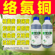 15%�簱ͭ���Ͽ�ή��ר��ɱ��������ר��ҩ��Ʒũҩ����簱ͪ