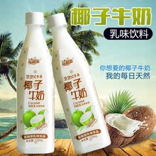 包邮新日期椰子牛奶520ml*15瓶果味饮料椰子汁奶味风味饮料批发
