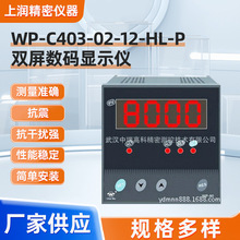 WP-C403-02-12-HL-P数字显示控制仪 WP上润数码智能数字显示仪