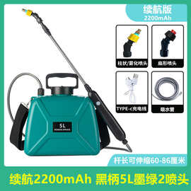 严选 2喷头便携式喷雾器电动喷壶手持电动园艺喷水枪浇花消毒打药