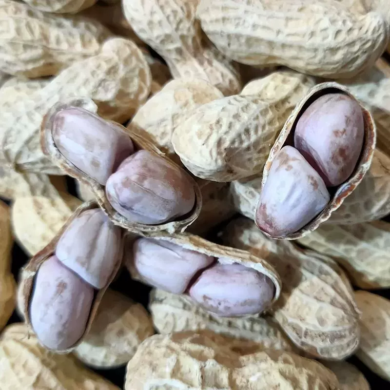 龙岩花生批发500克白晒咸干蒜香五香味花生