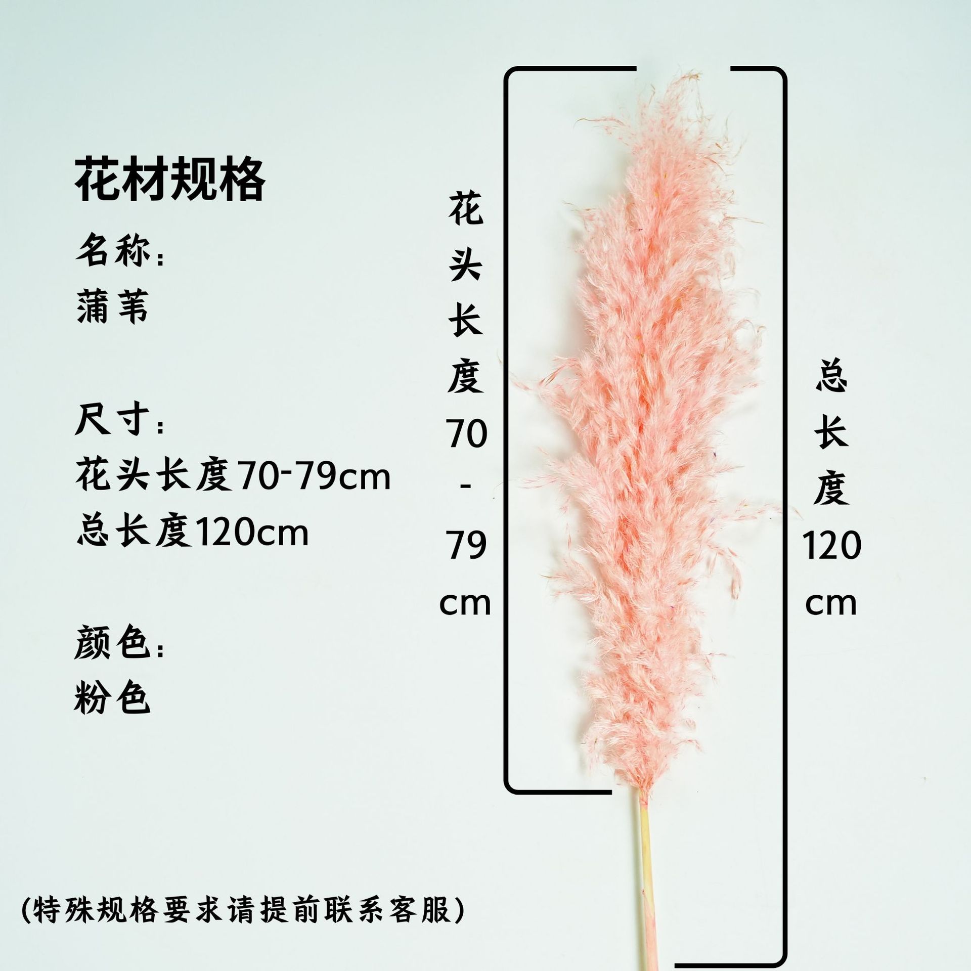 꽃머리 70~79cm 핑크