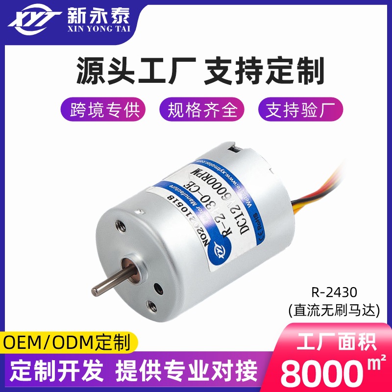 신형 영타이 공장 다이렉트 R2430 고속 브러시리스 DC 모터 12V24V 소형 무음 소형 모터