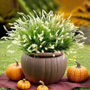 �������⾀�Gɫ��ľ޹�²ݺ��Ӳ��m��춑��ⲿ�bҾ��̨