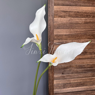 ��֦EVA�R��ɏ���滨�Ƶ�͏d����쾰�bٻ���c�ҾӲ廨ֱ�N