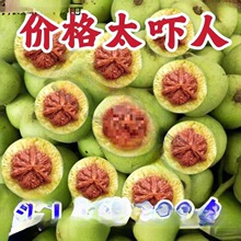 ���r��Ƥ�����������y��ñ�{���^���䌦���͹����Һ�ـ��Ƥ����