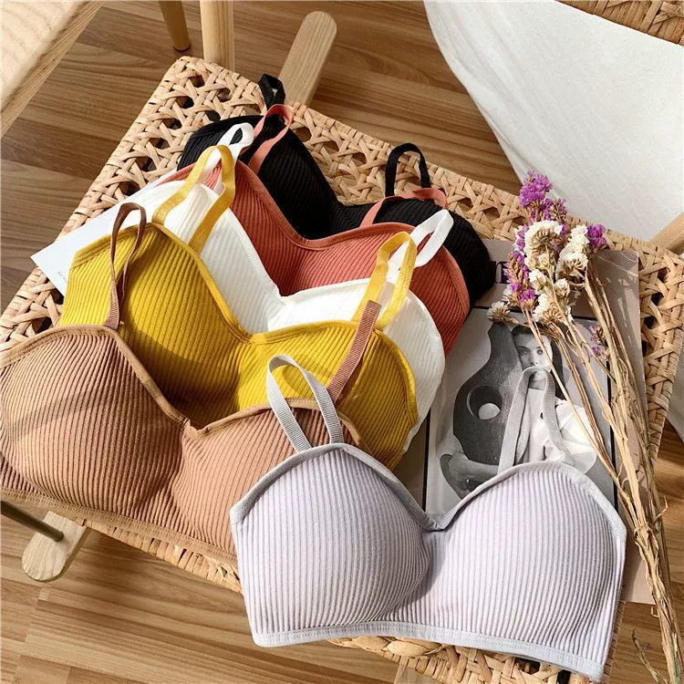 2023 весенне-летнее новое нижнее белье пуш-ап Базовая коллекция груди против провисания сексуальный бюстгальтер база маленькая камзол для женщин