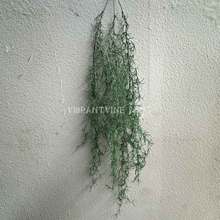 ����՚����ɭϵ�쾰���÷���Gֲ����������҃ȷ���ֲ��b�