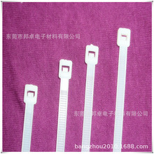 �|ݸ�������� 늙C���� ���������� �������l